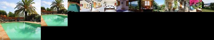 El Diplomatico Feo - The Ugly Diplomat