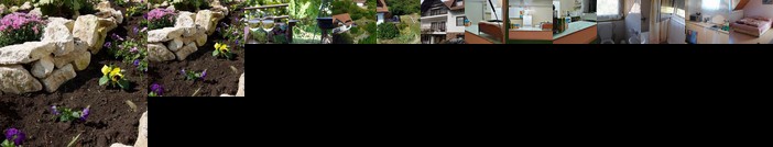 Panorama Vendeghaz Badacsonytomaj