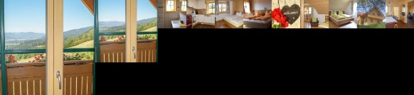 Ferienhaus Hochfelner