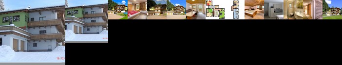 Haus Brandner Viehhofen