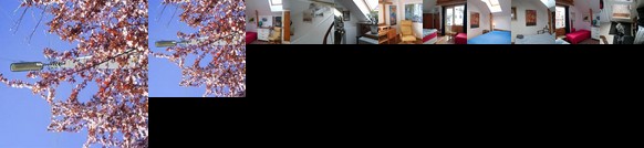 Sweetpease Bed & Breakfast