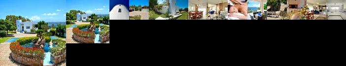 Villa Plumeria Flower