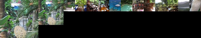 Mossman Gorge Bed and Breakfast