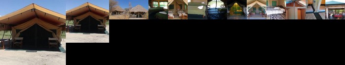 Whistling Thorn Tented Camp