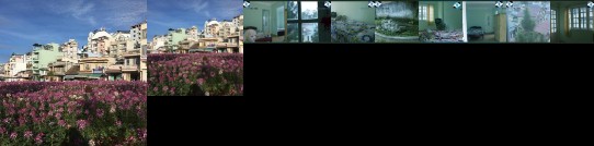 Thanh Tin Guest House