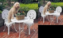 Tranquil Gardens Bairnsdale