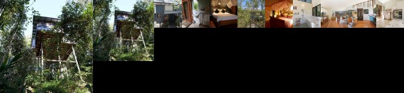 Lyola Pavilions in the Forest