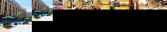 Sanroyal International Hotel