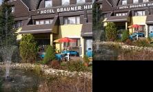 Brauner Hirsch Gleisdorf