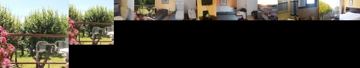 Nuevo Hotel Plaza Minas