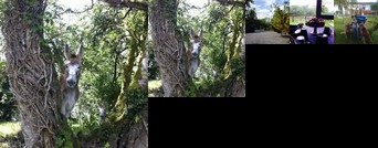 Clondanagh Cottage and Farm-on-the-Lake