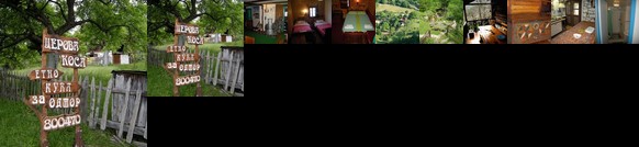 Apartment Cerova Kosa