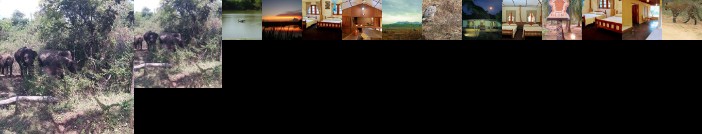 Heina Nature Resort - Eco Home and Yala Safari