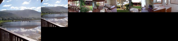 Pine Tree Cottage B&B