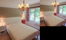 A Sunny and Green Real Home