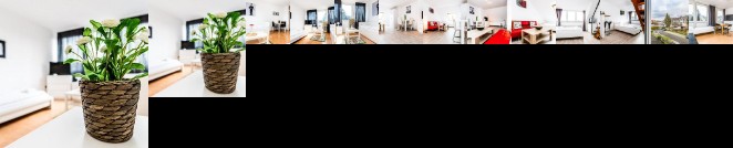 Budget Apartment Koln