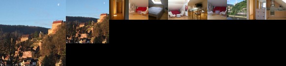 Romantisches Hirschhorn am Neckar