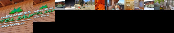 Wellness hotel Sauna