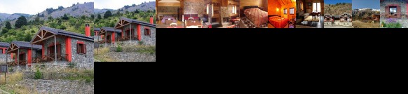 Agriolouloudo Grammou