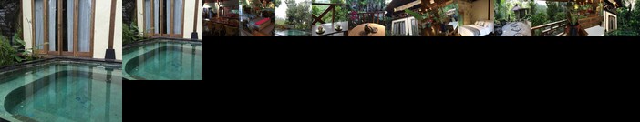Madu Puri Spa Villa