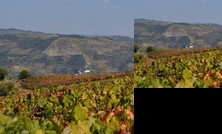 Quinta dos Espinheiros