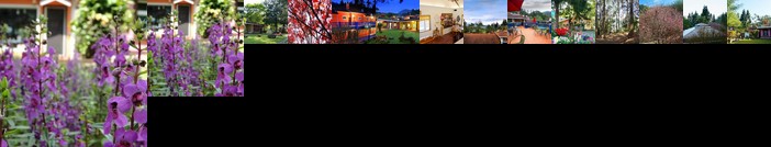 Li Jin Kuan Homestay