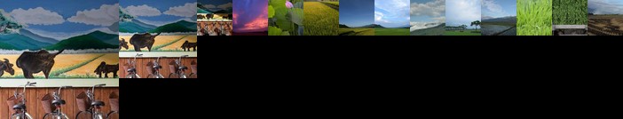 Lost and Find Homestay