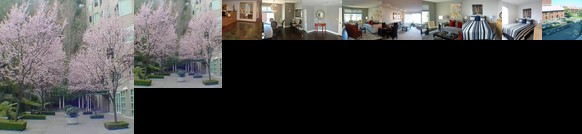 AMSI North Waterfront Two-Bedroom Condo AMSI-SF NWPT1605