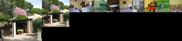 Agriturismo la Lecciola