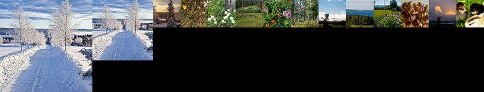 Langange Bed & Breakfast