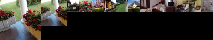 Julia Vendeghaz Sarospatak