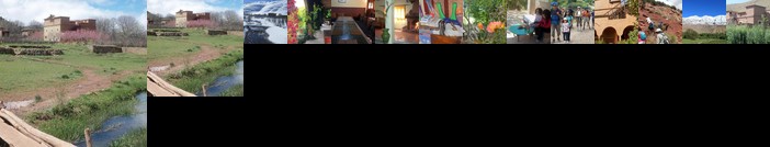 Safraniere du M' Goun