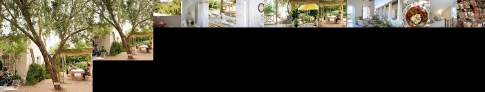 Prince Albert Country Stay