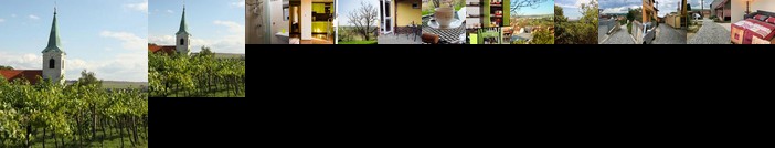 Ubytovani ve Vinarstvi Medek Medek House & Winery