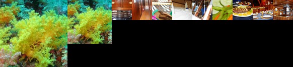 Maavahi Your Maldives Fleet