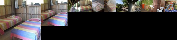 Lodge Jungle Wolf Expeditions