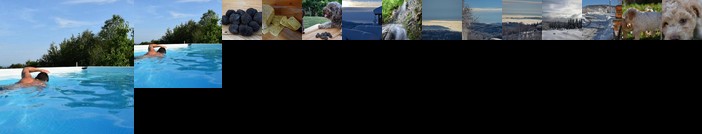 Guest House Lagotto's Peak