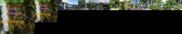 Oceanfront Cottage Near the Kalapana Lava Flows