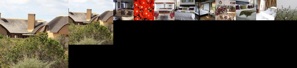 Beachcomber Cottages