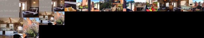 Les Toits de Lyon