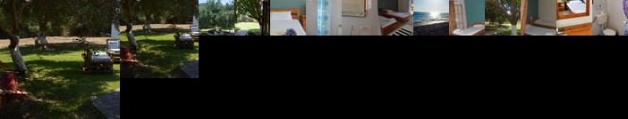 Filoxenia Apartments