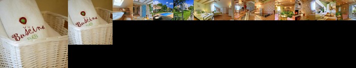 Holiday Home Casa Buscina