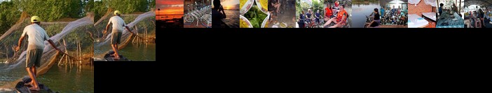 Ngoc Phuong Homestay