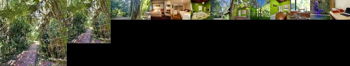 Rainforest Hotel Selva