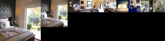 Bed of Roses Apollo Bay