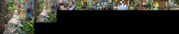 The Funky Dodo Backpackers Hostel