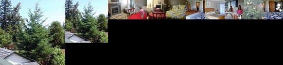 Aurora's Bed and Breakfast