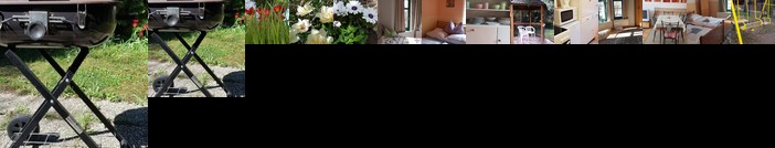 Borostyanko Vendeghaz