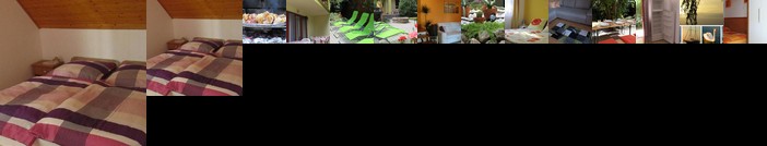 Alexandra Vendeghaz Siofok