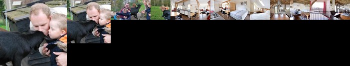 De Toffe Peer Recreatie